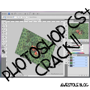   Adobe Photoshop CS4 ()  